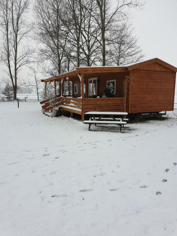 Tiny House Het Reebokje Apartment Vriescheloo Exterior foto