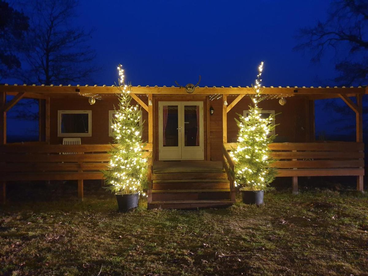 Tiny House Het Reebokje Apartment Vriescheloo Exterior foto